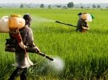 پایش آلاینده‌های محصولات کشاورزی برای نخستین‌بار در سازمان محیط زیست/ حذف یارانه سموم و کودهای شیمیایی مهم‌ترین راهکار برای کاهش آلودگی