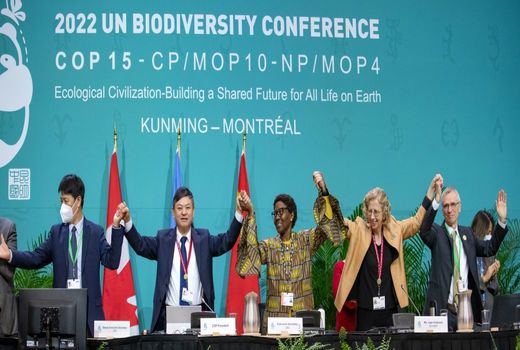 برنامه مدیریتی سازمان ملل برای بهبود وضعیت تنوع زیستی