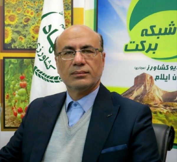 مزارع دیم استان ایلام دچار خشکسالی ۱۰۰ درصدی شدند