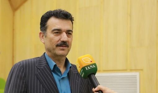 ۱۴ میلیون تن تولید گندم؛ ۶۰ درصد وارد چرخه خرید تضمینی شد