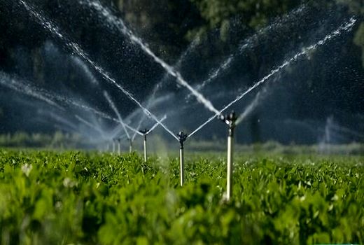 تجهیز 70 هزار هکتار از اراضی کشاورزی آذربایجان غربی به آبیاری نوین