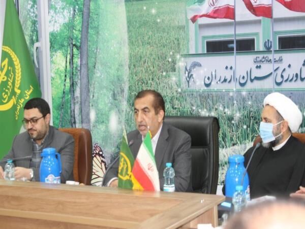 مازندران در صدر تولید محصولات کشاورزی قرار دارد