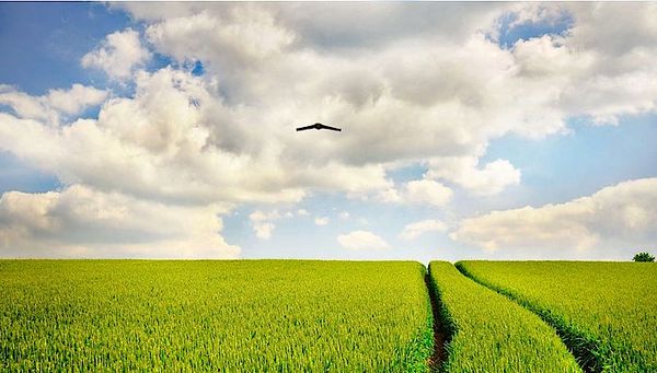 آغاز بارش‌ها از امروز/ اخطاریه هواشناسی کشاورزی ویژه مناطق غرب و جنوب غرب