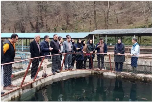 به‌روزرسانی دانش فنی کارشناسان شیلات قزوین با بازدید از مرکز پرورش ماهیان خاویاری رحیم‌آباد