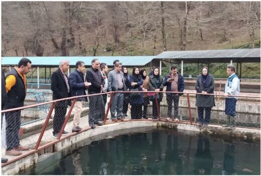 به‌روزرسانی دانش فنی کارشناسان شیلات قزوین با بازدید از مرکز پرورش ماهیان خاویاری رحیم‌آباد