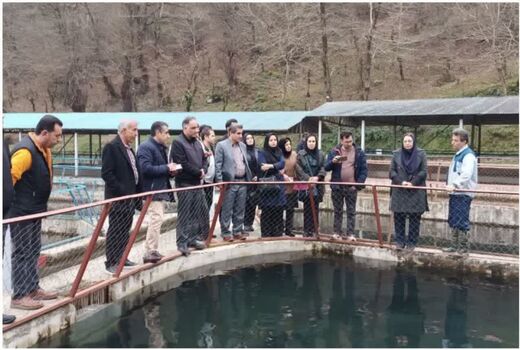 به‌روزرسانی دانش فنی کارشناسان شیلات قزوین با بازدید از مرکز پرورش ماهیان خاویاری رحیم‌آباد