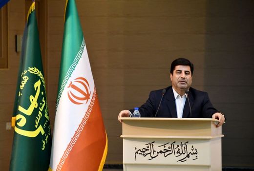 ۵۰ درصد اراضی آذربایجان شرقی مشمول طرح جهش تولید در دیمزارها است