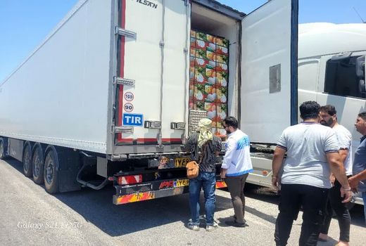 نظارت بهداشتی-قرنطینه‌ای بر صادرات ۲۱ هزار تن آبزیان از استان بوشهر