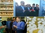 افتتاح فاز اول زنجیره تولید تخم مرغ شرکت کاسپین طلایی چیکا در گنبدکاووس