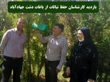 بازدید از باغات واقع در دشت جهادآباد شاهین شهر و میمه