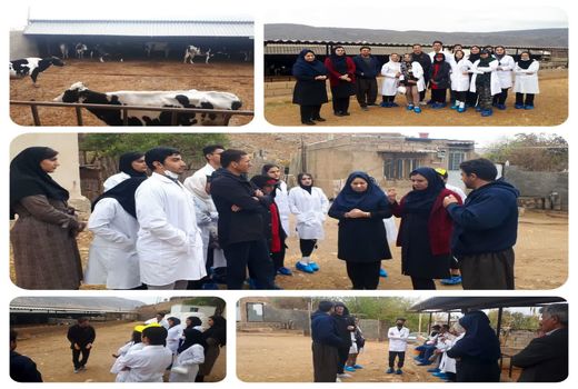 برگزاری دوره آموزشی ترویجی برای دانشجویان رشته دامپزشکی