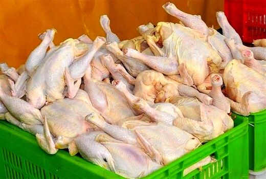 تکذیب پرکشیدن قیمت مرغ در اصفهان