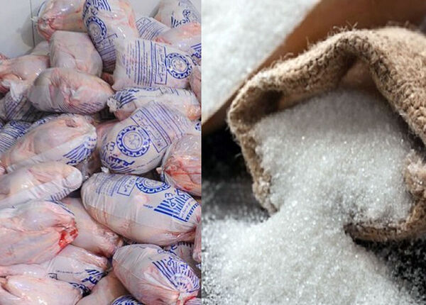 توزیع 300  تن مرغ منجمد و 719 تن شکرخانوار در آذربایجان شرقی برای تنظیم بازار
