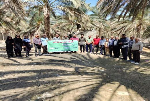  دوره تغذیه و مدیریت بیماری‌های قارچی نخیلات در تنگستان برگزار شد