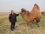لزوم حفاظت از ذخایر ژنتیکی بومی برای تامین امنیت غذایی کشور 