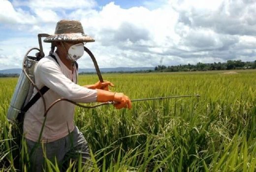 مصرف ۱۳۷تن سم و آفت کش در مزارع چهارمحال و بختیاری