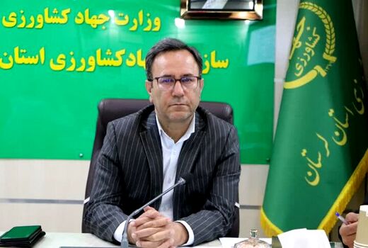۳۳ هزار تن سهم لرستان در تولید گوشت کشور 