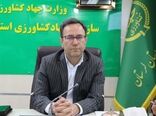 ۳۳ هزار تن سهم لرستان در تولید گوشت کشور 
