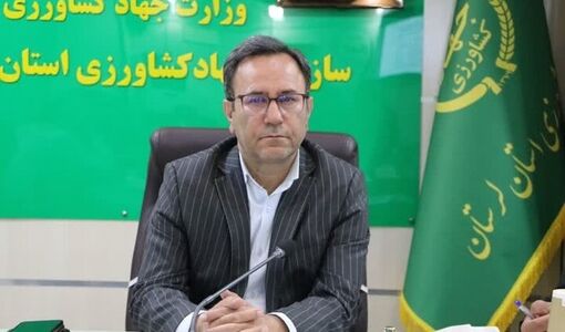 ۳۳ هزار تن سهم لرستان در تولید گوشت کشور 
