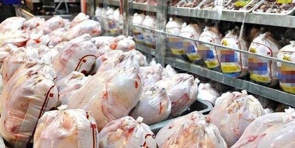 خرید مرغ مازاد مرغداران توسط شرکت پشتیبانی اموردام استان