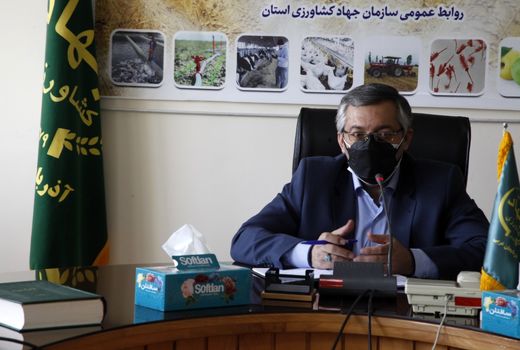  لزوم اعطای تسهیلات اعتباری ارزان قیمت به واحدهای تولیدی طیور در آذربایجان غربی