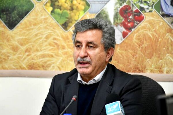 مهلت کشاورزی قراردادی تا ۲۶ اسفند تمدید شد