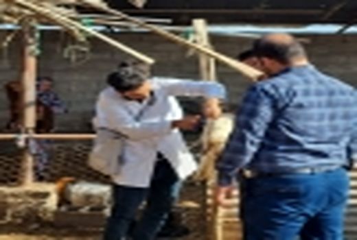 مناطق کم برخوردار اهواز زیر چتر حمایتی دامپزشکی