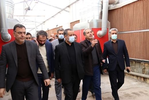 بازدید مدیران استان از یک واحد تولید محصولات گلخانه‌ای در جنوب شهرستان سمنان
