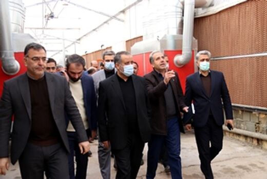 بازدید مدیران استان از یک واحد تولید محصولات گلخانه‌ای در جنوب شهرستان سمنان