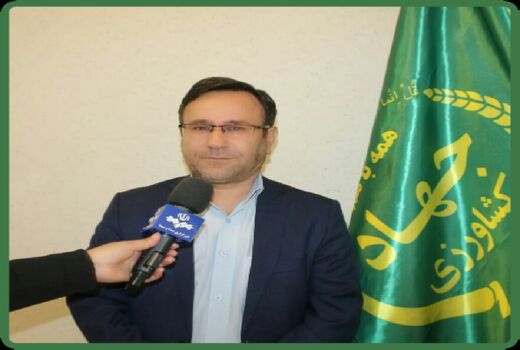 واریز ۶۰ میلیارد تومان به حساب کشاورزان لرستانی خسارت دیده