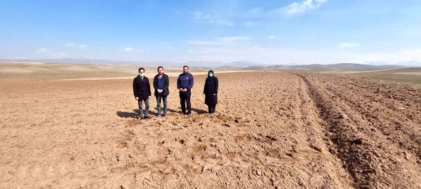  اجرای کشت انتظاری نخود دیم برای نخستین بار در شهرستان  البرز 