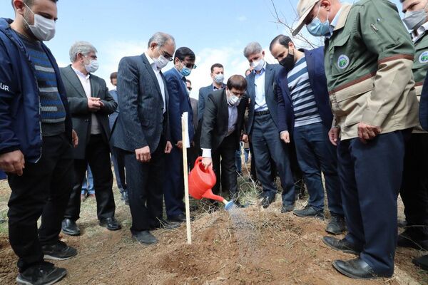 استان کرمانشاه قابلیت فراوانی برای اجرای طرح گردشگری کشاورزی دارد