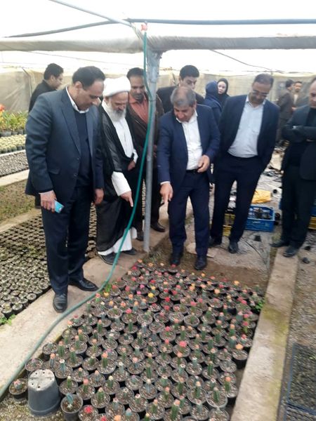 بهره‌برداری از یک واحد گلخانه گوجه فرنگی در محی آباد کرمان
