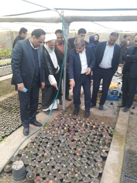 بهره‌برداری از یک واحد گلخانه گوجه فرنگی در محی آباد کرمان