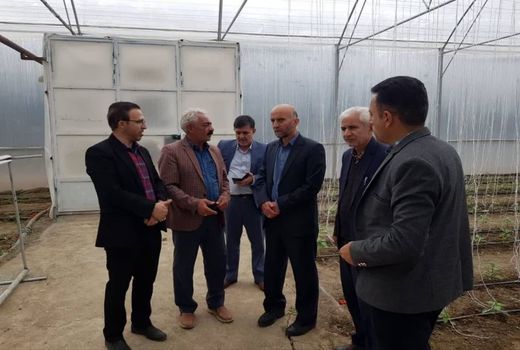 بازدید رئیس سازمان جهاد کشاورزی لرستان از واحد گلخانه ای ۴۳۰۰ متری در شهرستان ازنا