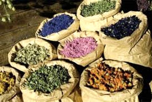 راه اندازی باراندازهای گیاهان دارویی در کشور