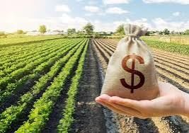 کاهش قیمت تمامشده تولید بدون مشارکت نهادهای محلی ممکن نیست