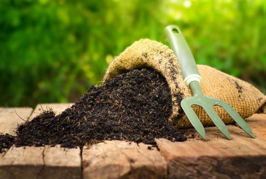 با حذف ارز ترجیحی، توان رقابت به کود تولید داخل باز می‌گردد