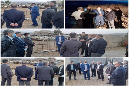 سفر مدیرکل برنامه و بودجه سازمان امور عشایر کشور به استان ایلام