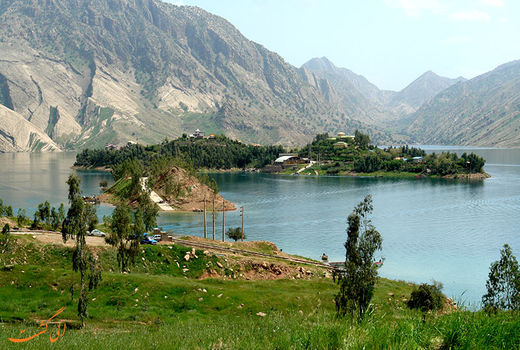 توزیع نهال رایگان بین باغداران مسجدسلیمان