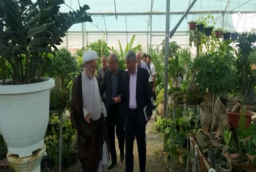 شهرستان تبریز با ۱۶۲ گلخانه، پیشرو در تولیدات نوین