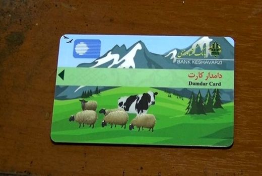 جذب 263 میلیارد ریال اعتبار در قالب دامدار کارت به استان کرمان