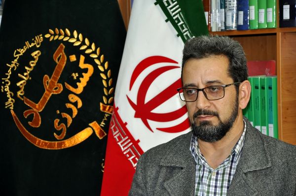 در دست اجرا بودن ۷۲ طرح توسعه گلخانه ای در خراسان جنوبی