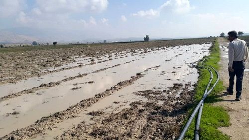 خسارت سیل به بخش کشاورزی کازرون