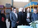 استاندار قزوین از واحد کنجاله‌سازی وزیری بازدید کرد؛ گامی در توسعه صنایع وابسته به کشاورزی