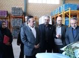 استاندار قزوین از واحد کنجاله‌سازی وزیری بازدید کرد؛ گامی در توسعه صنایع وابسته به کشاورزی
