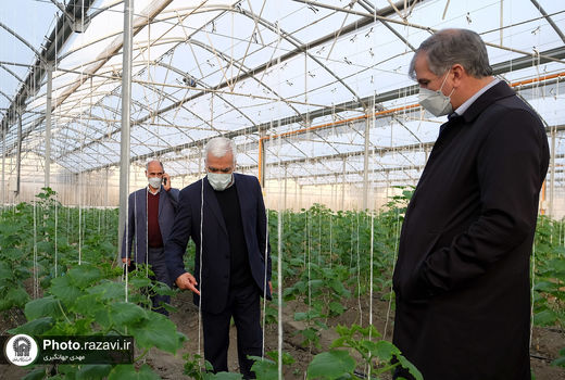 توسعه همکاری وزارت جهاد کشاورزی با آستان قدس رضوی برای تقویت امنیت غذایی کشور