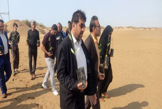 ۱۲ هزار هکتار از اراضی ساحلی مستعد کشت حرا در بوشهر شناسایی شد