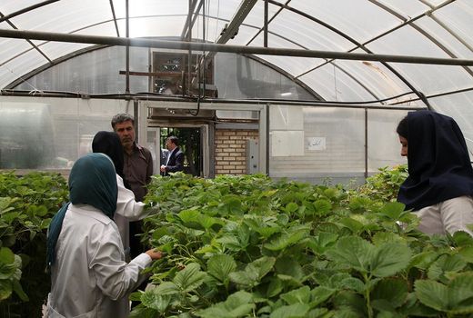 افزایش 3 برابری هنرستان‌های کشاورزی به 40 هنرستان در سال 1400