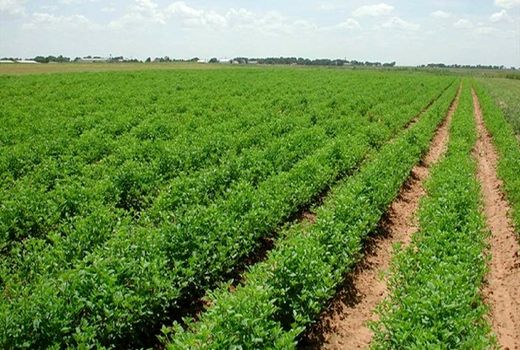 تدوین 19 برنامه برای مدیریت مصرف آب سمنان